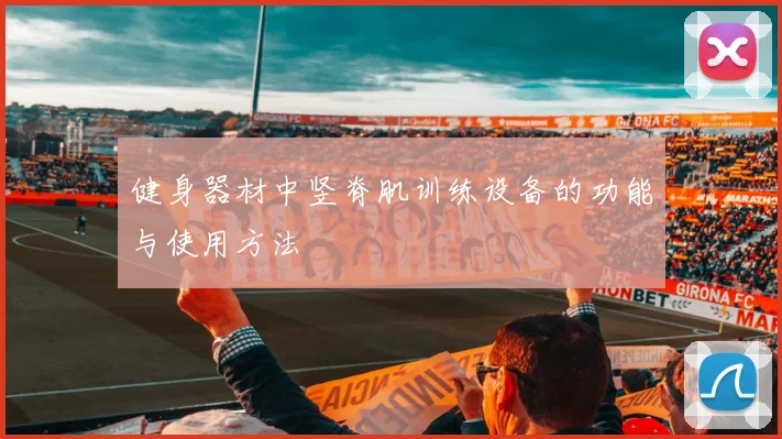 健身器材中竖脊肌训练设备的功能与使用方法