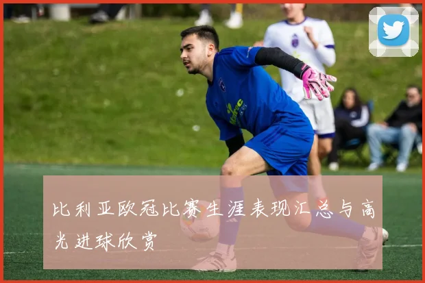 比利亚欧冠比赛生涯表现汇总与高光进球欣赏