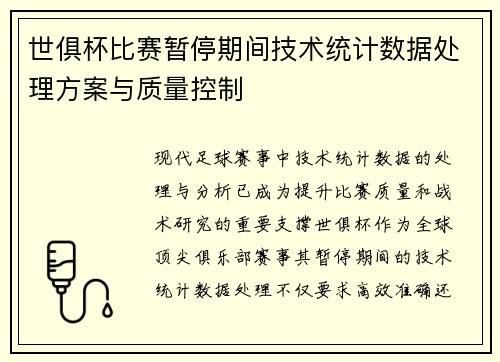 世俱杯比赛暂停期间技术统计数据处理方案与质量控制